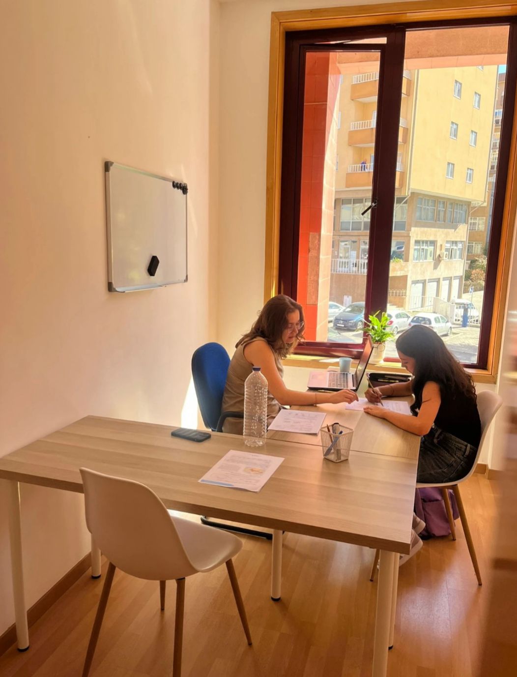 Explicações Individuais